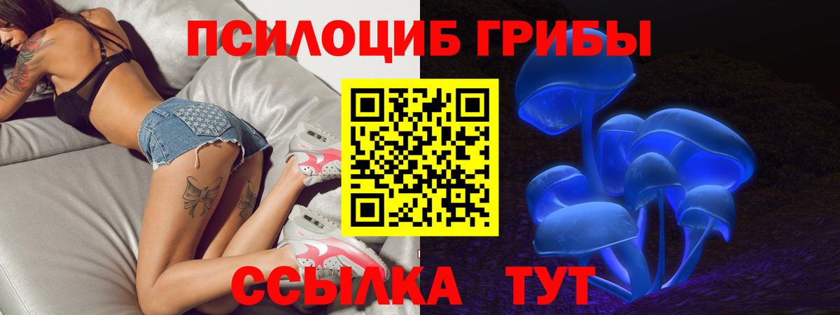 Псилоцибиновые грибы мухоморы Норильск