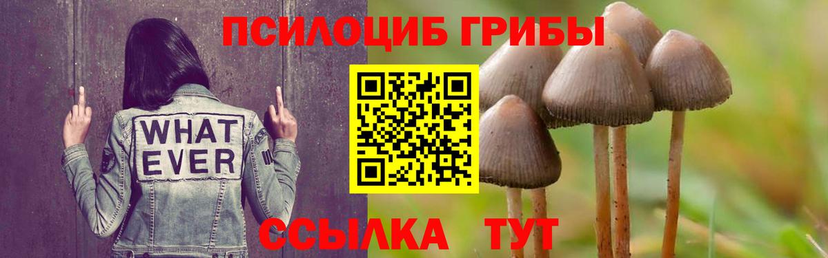 Норильск  Галлюциногенные грибы Magic Shrooms  Вход с VPN 