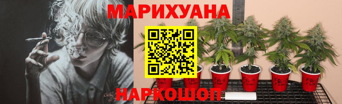 Бошки Шишки White Widow  МАРИХУАНА сатива  Канабис индика  Норильск  Вход с VPN 